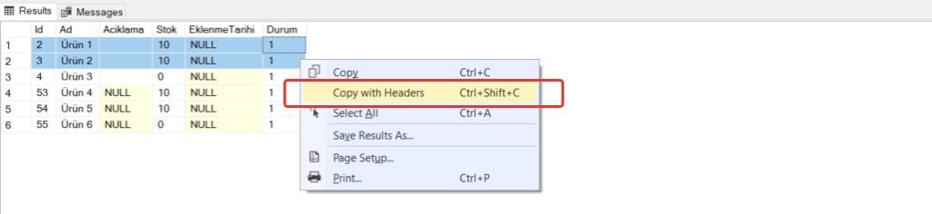 Sütun adları SQL Server’daki tablodan Excel’e nasıl alınır