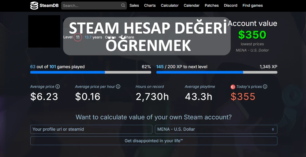 Steam hesap değeri nasıl öğrenilir